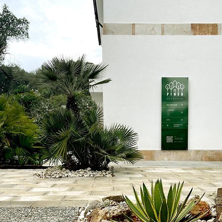 كاستيلانيتا مارينا Pinea B&B المظهر الخارجي الصورة