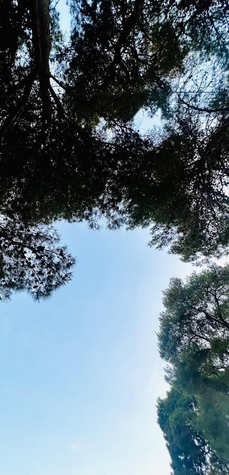 كاستيلانيتا مارينا Pinea B&B المظهر الخارجي الصورة